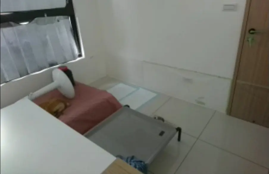監視器畫面中，行軍床仍在房間中央，志強窩在旁邊的貴妃椅區域。