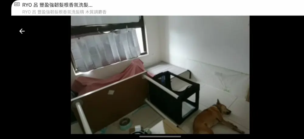 志強在地板上側躺休息。